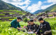 助力乡村振兴，助力乡村振兴，河北泰容信息技术咨询服务助力乡村振兴